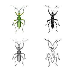 Vector illustration of insect and fly sign. Set of insect and element stock vector illustration.