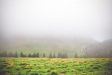 blur scene of  meadows above the mountain forest after the rain mist, giving the magic charm of Bucegi mountain Romania