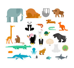 Obraz premium Animals set. Beast collection. cute cartoon animal.&nbsp;jungle and forest Wild nature. Fauna of Different Continents