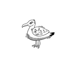 gull bird sketch drawing icon summer themed