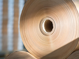 Rolls of yellow paper in print shop. Close-up.