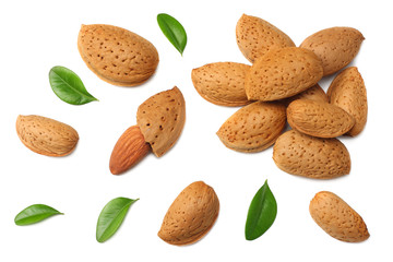 almonds with green leaves isolated on white background. top view.