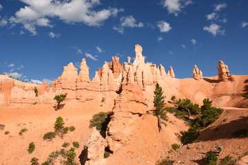 landscape on the bryce canyon in the united states of america