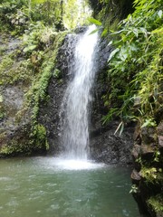Wasserfall auf Martinique