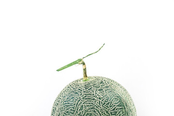 Abstract close up of cantaloupe melon texture,Close up fresh sweet slice melon cantaloupe on the wooden table.