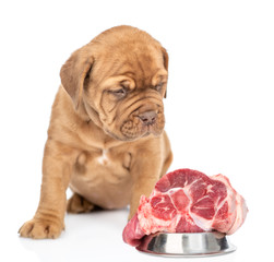 Obraz premium Puppy with bowl of raw meat. isolated on white background