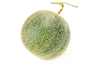 cantaloupe melon on white background,a whole of cantaloupe melon fruits isolated on white background.