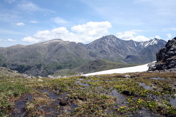 Altai region Russia mountain landscapes