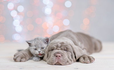 Sleepy puppy hugging kitten on festive background