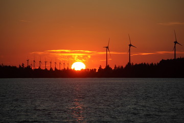 Naklejka premium coucher de soleil sur un parc d'éoliennes 