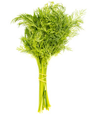 Green bunch of dill on a white background