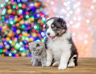puppy and baby kitten sitting together with Christmas tree on background. Empty space foe text