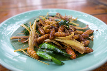 Deep fried silkworm larvae with kaffir lime leaves - traditional Laos cuisine dish. Served in blue plate closeup.
