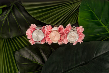 top view of wristwatches lying on blooming pink flowers near green leaves