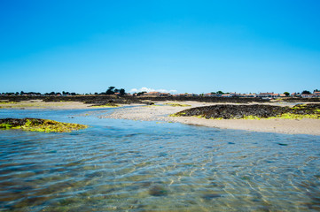 view on le petit vieil from in the water with sand in summertime on the isle of Noirmoutier