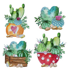 Watercolor handpainted set of cactus and succulent plant