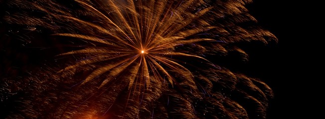 fireworks in the sky 