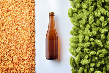 Brown beer bottlle mockup on white background  with hop cones and wheat
