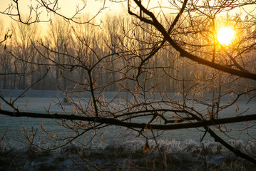 Winterlandschaft an der Ruhr