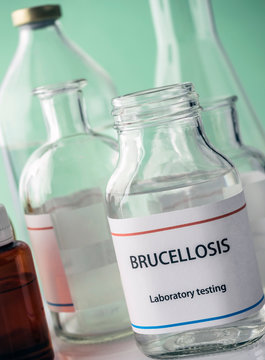 Test brucellosis in laboratory, conceptual image, composition horizontal