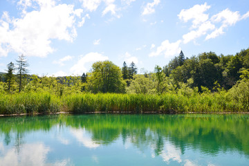 Fototapeta na wymiar Beautiful landscape in the Plitvice Lakes National Park, Croatia.