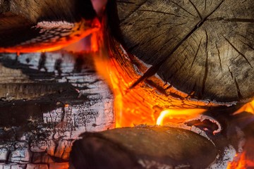 fireplace. log tree burn