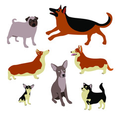 Cartoon dogs of different breeds and sizes. Cute vector animals on a white background. Pug dog, Sheep dog, Welsh Corgi, Chihuahua, mongrel
