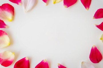 red rose petals on white background