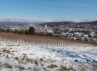 Blick auf Lörrach vom Weinberg Tüllingen im Winter