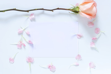 mock up invitation card with rose and pink flower petal as border frame. empty blank white card with copy space