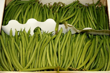 Haricots verts