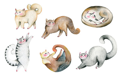 Fototapeta premium Cute cats set. Isolated on white background. Watercolor illustration