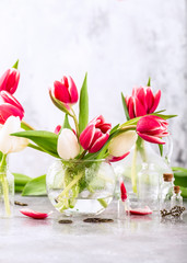 Pink and white tulips in glass vases on the light gray background. A gift for woman's day. Greeting card for mother's day.