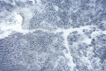 Mountain snow covered pine forest, top down aerial view. Winter landscape.