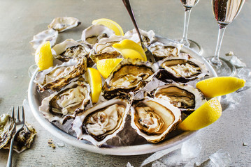 Opened Oysters © Maksim Shebeko