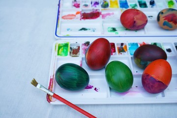Colorful easter eggs painting activity with color tray background, fun event for kid concept