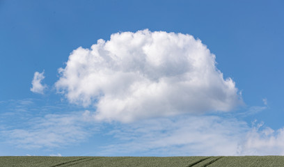 Sch&ouml;nwetterwolke verspricht reiche Ernte