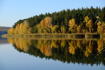 Fototapeta na wymiar forest reflected in the river