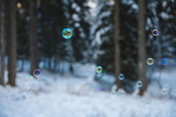 rainbow colored soap bubbles suspended in the air with a snowy forest in the background