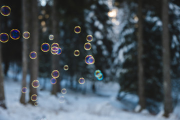 rainbow colored soap bubbles suspended in the air with a snowy forest in the background