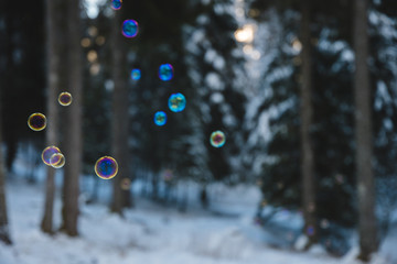 rainbow colored soap bubbles suspended in the air with a snowy forest in the background