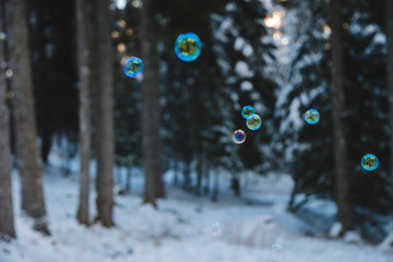 rainbow colored soap bubbles suspended in the air with a snowy forest in the background