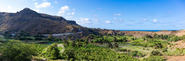 Coconut and sugar canne plantation near Calheta Sao Miguel in Santiago Island  in Cape Verde - Cabo Verde