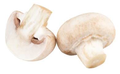 Fototapeta na wymiar champignon mushrooms isolated on white background, with clipping path