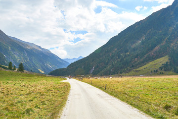 Fototapeta na wymiar Hiking and biking on a trail in Krimml valley in Austria
