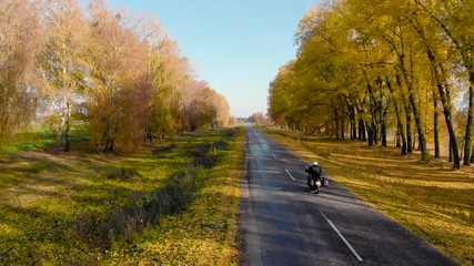 AERIAL. Motorcycle on narrow road in action, Motorcyclist Driving his adventure tourist Motorbike. bright golden leaves, yellow trees, sunny autumn day, travel concept