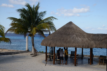 Umbrellas on the beach. Travels. Exotic rest. Ocean