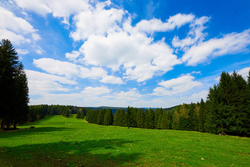 Thüringer Wald