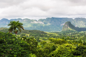 Cuba Viñales Pinar del rio
