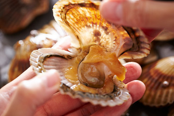 Peeling off scallop 